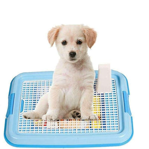 Planet Gates Blue without column / S Dog Accessories Mesh Dog Toilet Pad Tray Dog Lattice Potty Puppy Pee Training Durable Toilet Cat Mat Goods for Dogs Pet Supplies
