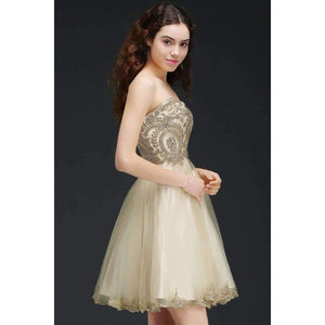 Planet Gates blushing pink / 6 Custom Make Lace Short Cocktail Dresses 2018 Sexy Open Back Sweetheart Tulle Cocktail Dress Vestido Fiesta Coctel