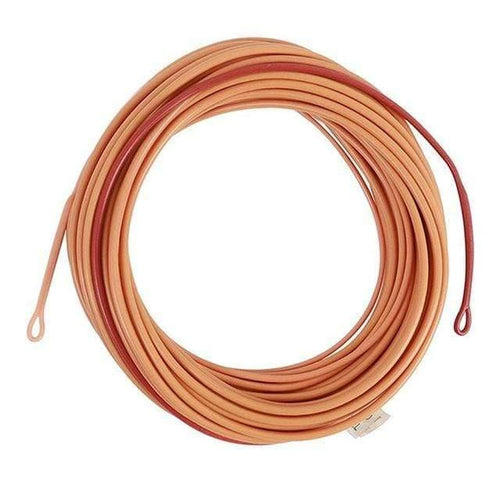 Planet Gates Brown Honey Color / 29FT 625gr / Mainline Skagit Shooting Head Fly Fishing Line With 2 Welded Loops 17-29FT 200-650gr Double Color Floating Fly Line