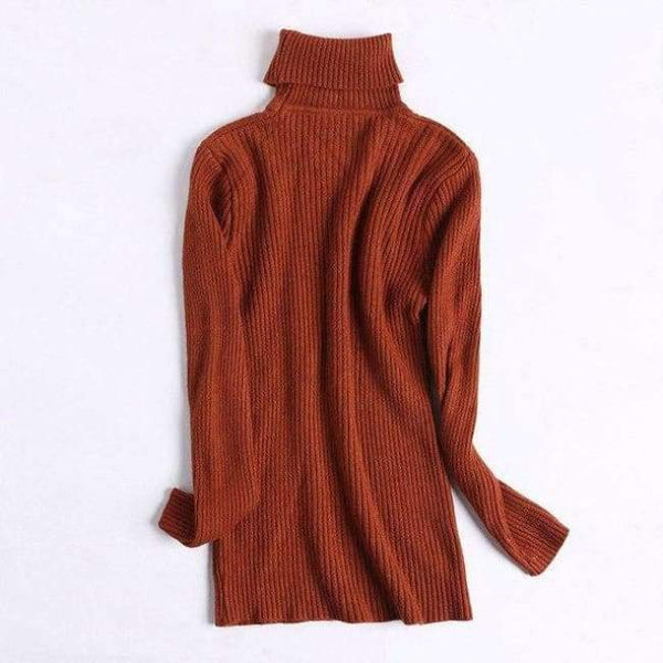 Planet Gates Brown / One Size Turtleneck Warm Women Sweater Autumn Winter Knitted Femme Pull High Elasticity Soft Female Pullovers Sweater Jumper