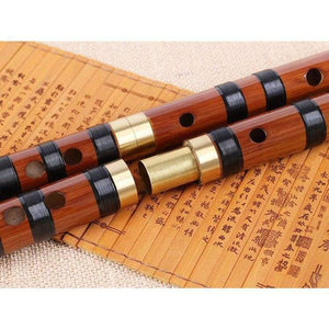 Planet Gates C Key Quality Bamboo Flute Professional Woodwind dizi Musical instruments C D E F G Key Chinese dizi Transversal Flauta  Xiao