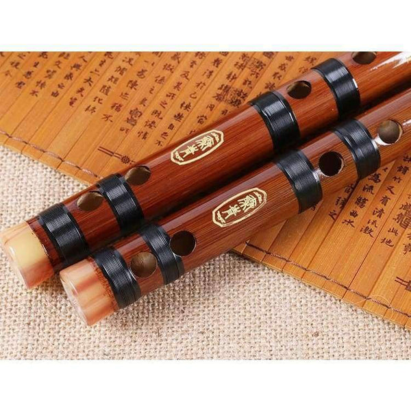 Planet Gates C Key Quality Bamboo Flute Professional Woodwind dizi Musical instruments C D E F G Key Chinese dizi Transversal Flauta  Xiao
