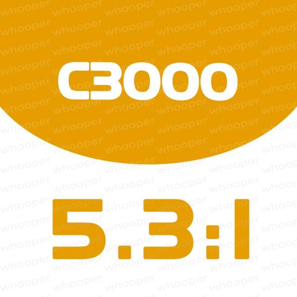 Planet Gates C3000 VANFORD 500 1000 C2000S C3000 4000 5000XG  Series 7+1BB Low and High Gear Ratio Saltwater Spinning Fishing Reel