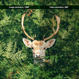 Planet Gates Camouflage Green Night Vision Digital Hunting Camera + SD Card Waterproof Trap Trial Camera 26pcs Infrared LED120 Degree 12MP Wild Camera