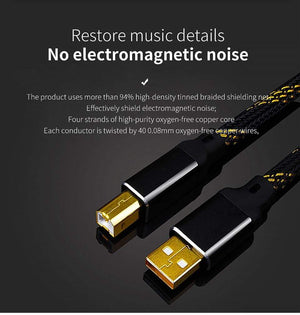 Planet Gates Canare HIFI USB Cable DAC A-B Alpha 4N OFC Digital AB Audio A to B high-end Type A to Type B Hifi Data Cable