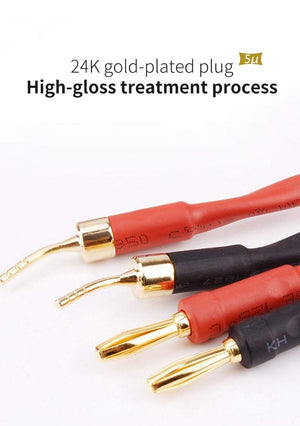 Planet Gates Canare speaker cable L-4S8F 1 Pair oxygen-free copper audio HI-FI high-end amplifier 4N OFC speaker cable Banana plug cable