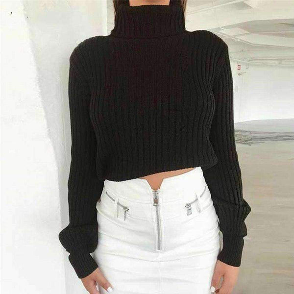 Planet Gates Casual Sweaters Cotton Winter Long Sleeve Crop Top 2018 Autumn Knitted Pullover Ladies High Neck Sweaters Female Mujer