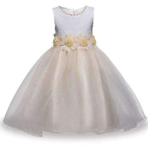 Planet Gates Champagne 1 / 5 Bridesmaid Wedding Flower Girls Dress For Girls Party Dresses Children Prom Princess Dresss Girl Costume 8 10 11 12 14 Year