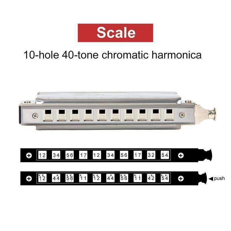 Planet Gates China / Chromatic Harmonica Harmonica Mouth Organ French Harp Phosphor Bronze Reeds 10 Holes 40 Tone Key of C with Case