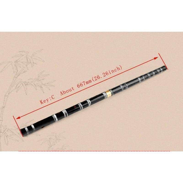 Planet Gates China / D Key CDEFG Key Black Bamboo Flute with Transparent Lines 10 Holes Musical Instrument Chinese Traditional Handmade Woodwind Instrument