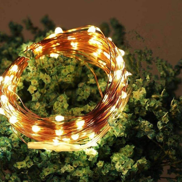 Planet Gates Christmas New Year atmosphere indoor and outdoor decoration AA battery power supply 10m 100 LED Holiday String lighting