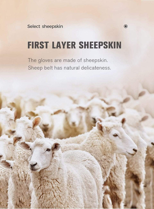 Planet Gates Comfortable Keep warm gloves male winter,Water ripple design sheepskin men's gloves,black men's leather gloves-8001Y