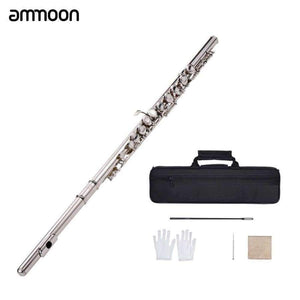 Planet Gates Concert Flute Silver Plated 16 Holes C Key Cupronickel Musical Instrument with Cleaning Cloth Stick Gloves Screwdriver