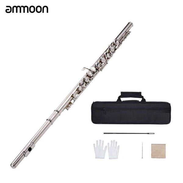 Planet Gates Concert Flute Silver Plated 16 Holes C Key Cupronickel Musical Instrument with Cleaning Cloth Stick Gloves Screwdriver