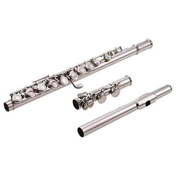Planet Gates Concert Flute Silver Plated 16 Holes C Key Cupronickel Musical Instrument with Cleaning Cloth Stick Gloves Screwdriver