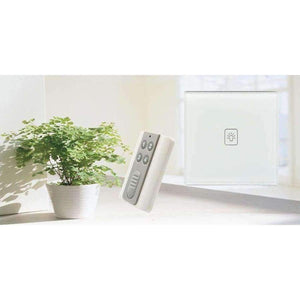 Planet Gates Controller RF Remote Switches Controller Wall Light Switch Accessaries Socket Remote Controller Smart Home appliances