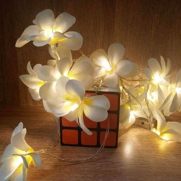 Planet Gates Creative DIY frangipani LED String Lights, AA Battery floral holiday lighting, Event Party garland decoration,Bedroom decoration