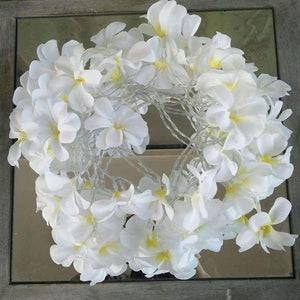 Planet Gates Creative DIY frangipani LED String Lights, AA Battery floral holiday lighting, Event Party garland decoration,Bedroom decoration