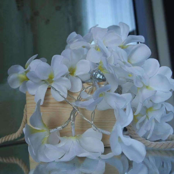 Planet Gates Creative DIY frangipani LED String Lights, AA Battery floral holiday lighting, Event Party garland decoration,Bedroom decoration