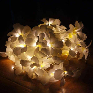 Planet Gates Creative DIY frangipani LED String Lights, AA Battery floral holiday lighting, Event Party garland decoration,Bedroom decoration