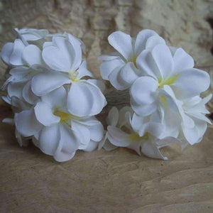 Planet Gates Creative DIY frangipani LED String Lights, AA Battery floral holiday lighting, Event Party garland decoration,Bedroom decoration