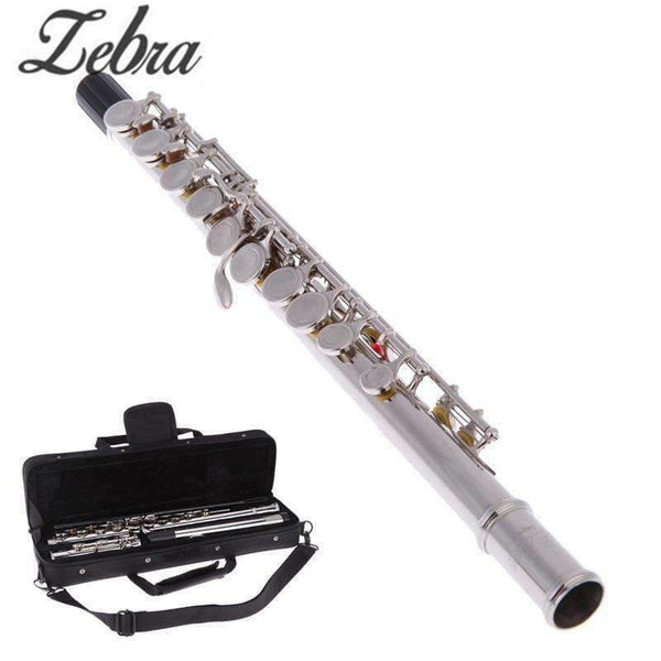 Planet Gates Cupronickel Nickel Plated 16 Hole C Key Western Concert Flute Kit with Case Cover Parts For Musical Instrument Beginners