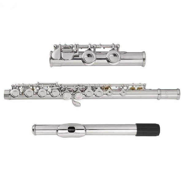 Planet Gates Cupronickel Nickel Plated 16 Hole C Key Western Concert Flute Kit with Case Cover Parts For Musical Instrument Beginners
