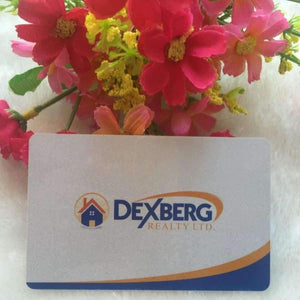 Planet Gates Custom  plastic business cards printing / plastic business card printing / pvc visit card printing 500 pcs/lot