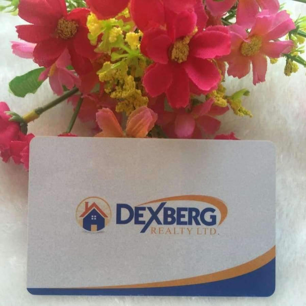 Planet Gates Custom  plastic business cards printing / plastic business card printing / pvc visit card printing 500 pcs/lot