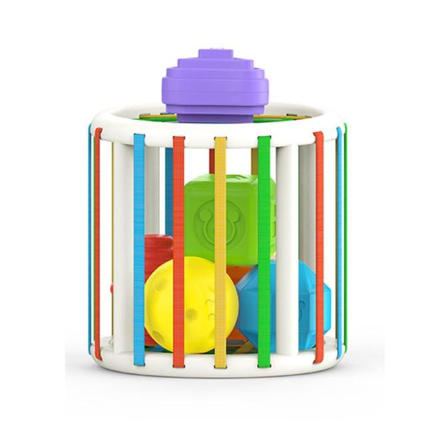 Planet Gates Cylinder Shape Sorting Block Games Baby Montessori Learning Educational Toys For Baby Grasping Sorting Ability 0-12 Months