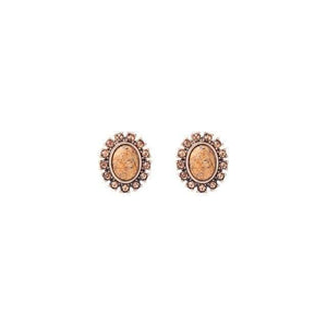 Planet Gates ed01542c-4 Lots Bulk Women Earrings Various Match Charms Love Temperament Noble Fineness Creativity Dashing Women Jewelry in box