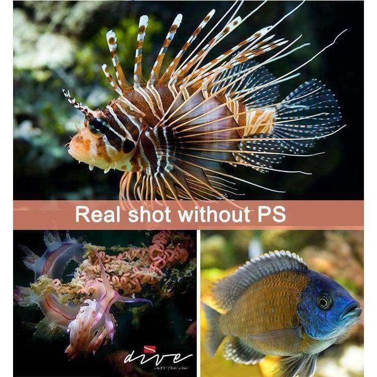 Planet Gates EU Plug ARCHON diving photography light Max 12,000 lumens Positive white lighting diving shooting underwater HD video photo diving light