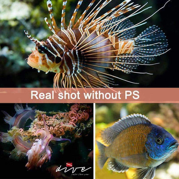 Planet Gates EU Plug ARCHON diving photography light Max 12,000 lumens Positive white lighting diving shooting underwater HD video photo diving light