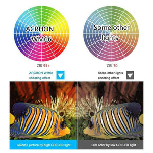 Planet Gates EU Plug ARCHON diving photography light Max 12,000 lumens Positive white lighting diving shooting underwater HD video photo diving light