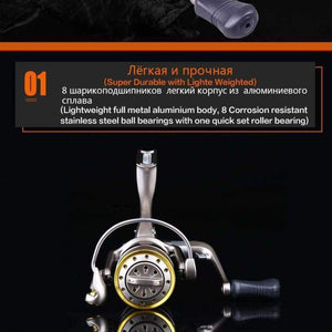 Planet Gates EXCIA MX Reel 1000/2000/3000/4000 Original Saltwater Wheel 8+1 BB 4.9:1 Ratio Bass Trout Pike Carp Fishing Spining Reels