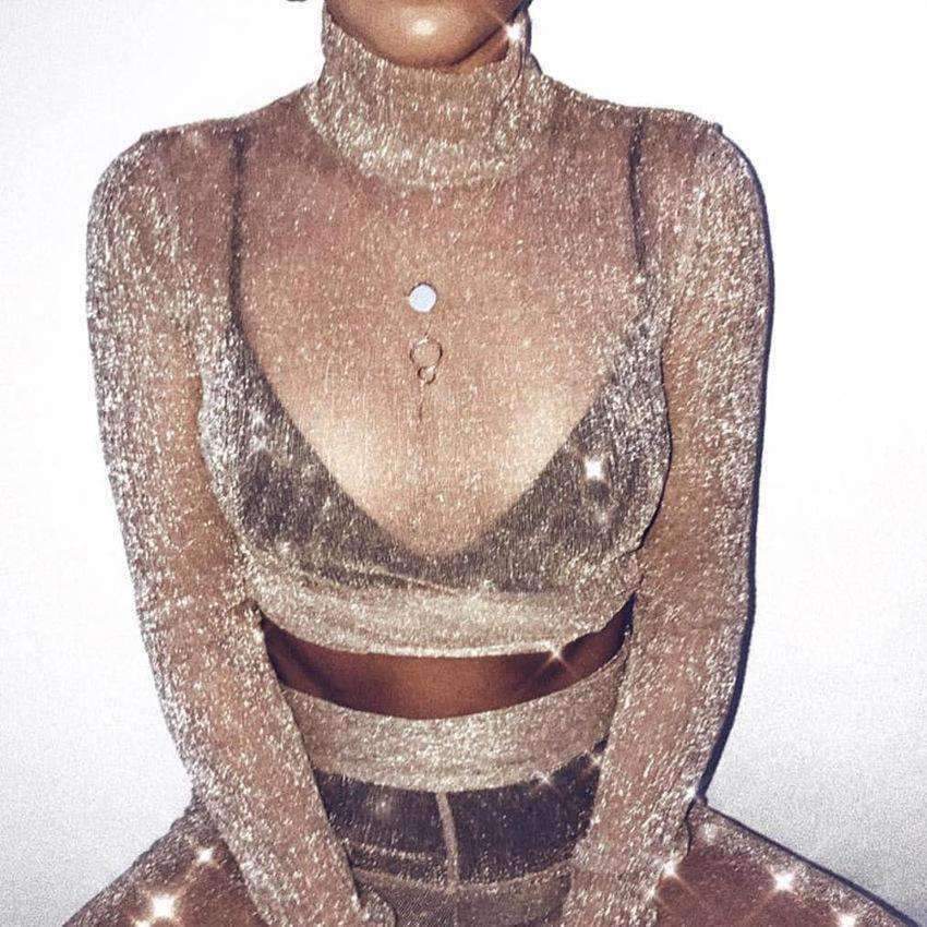 Planet Gates Pink / L Fashion Women T Shirt See Through Mesh Cropped Tops tshirt 2017 Transparent Turtleneck Long Sleeve Tee Tops blusa Casual