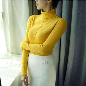 Planet Gates Female Soft Korean Style Skinny Winter Turtleneck Women Bodycon Basic Pullovers Long Sleeve Pull Femme Coat Female Top