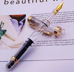 Planet Gates Fountain Pen Transparent Piston Wing Sung Ink Pen Iridium 0.38/0.5mm Gold Silver Clip with Gift Box Office Pen