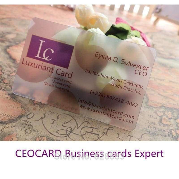 Planet Gates Free Design Matte Face PVC Plastic Transparent Business Card Printing