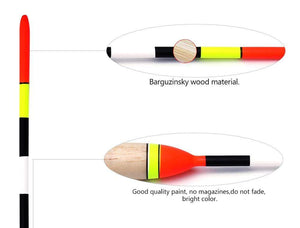 Planet Gates FTK Barguzinsky Fir Light On The Dark 5Pcs/Lot Fishing Float Length  19-23cm Float Weight  2g-6g  For Carp Fishing