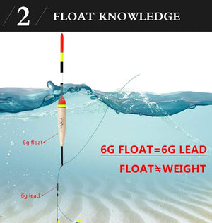 Planet Gates FTK Barguzinsky Fir Light On The Dark 5Pcs/Lot Fishing Float Length  19-23cm Float Weight  2g-6g  For Carp Fishing