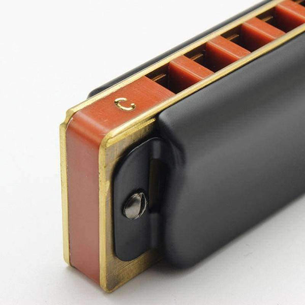 Planet Gates G T008K 10 Hole Diatonic Blues Harmonica Armonicas Mouth Ogan Woodwind Musical Instrument Melodica