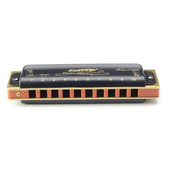 T008K 10 Hole Diatonic Blues Harmonica Armonicas Mouth Ogan Woodwind Musical Instrument Melodica