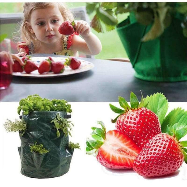Planet Gates Garden Plants Grow Bag Jardin Gardening Greenhouse PE Planting Bags Strawberry Container Bag Potato Planter Pots Garden Supplies