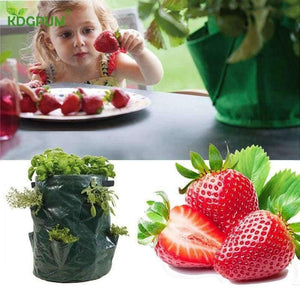 Planet Gates Garden Plants Grow Bag Jardin Gardening Greenhouse PE Planting Bags Strawberry Container Bag Potato Planter Pots Garden Supplies