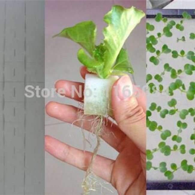Planet Gates Garden supplies hydroponic seeds vegetables foam cubes pot for starting seed for hydroponics system2.3*2.3 (117PCS/lot).
