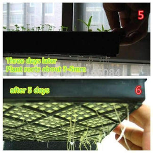 Planet Gates Garden supplies hydroponic seeds vegetables foam cubes pot for starting seed for hydroponics system2.3*2.3 (117PCS/lot).