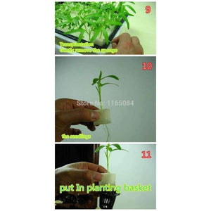 Planet Gates Garden supplies hydroponic seeds vegetables foam cubes pot for starting seed for hydroponics system2.3*2.3 (117PCS/lot).