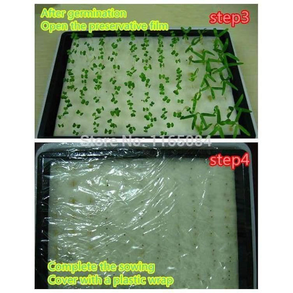 Planet Gates Garden supplies hydroponic seeds vegetables foam cubes pot for starting seed for hydroponics system2.3*2.3 (117PCS/lot).