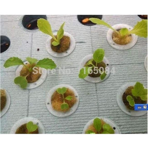 Planet Gates Garden supplies hydroponic seeds vegetables foam cubes pot for starting seed for hydroponics system2.3*2.3 (117PCS/lot).